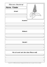 Pflanzensteckbriefvorlage-Flieder-SW.pdf